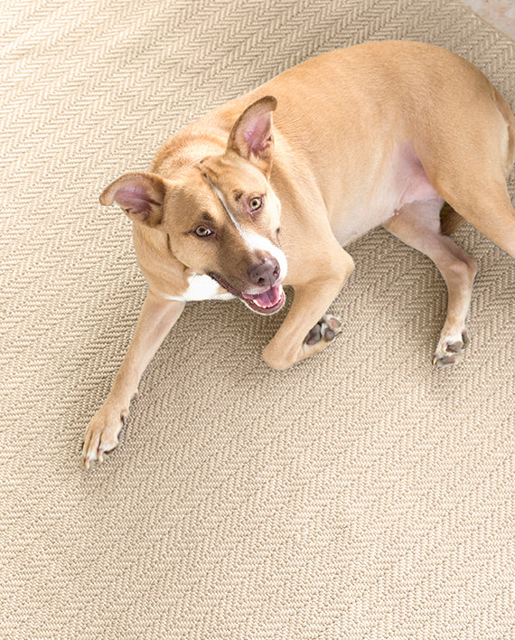 Dash-and-Albert-Carpet-Herringbone-Linen-Indoor-Outdoor-Teppich