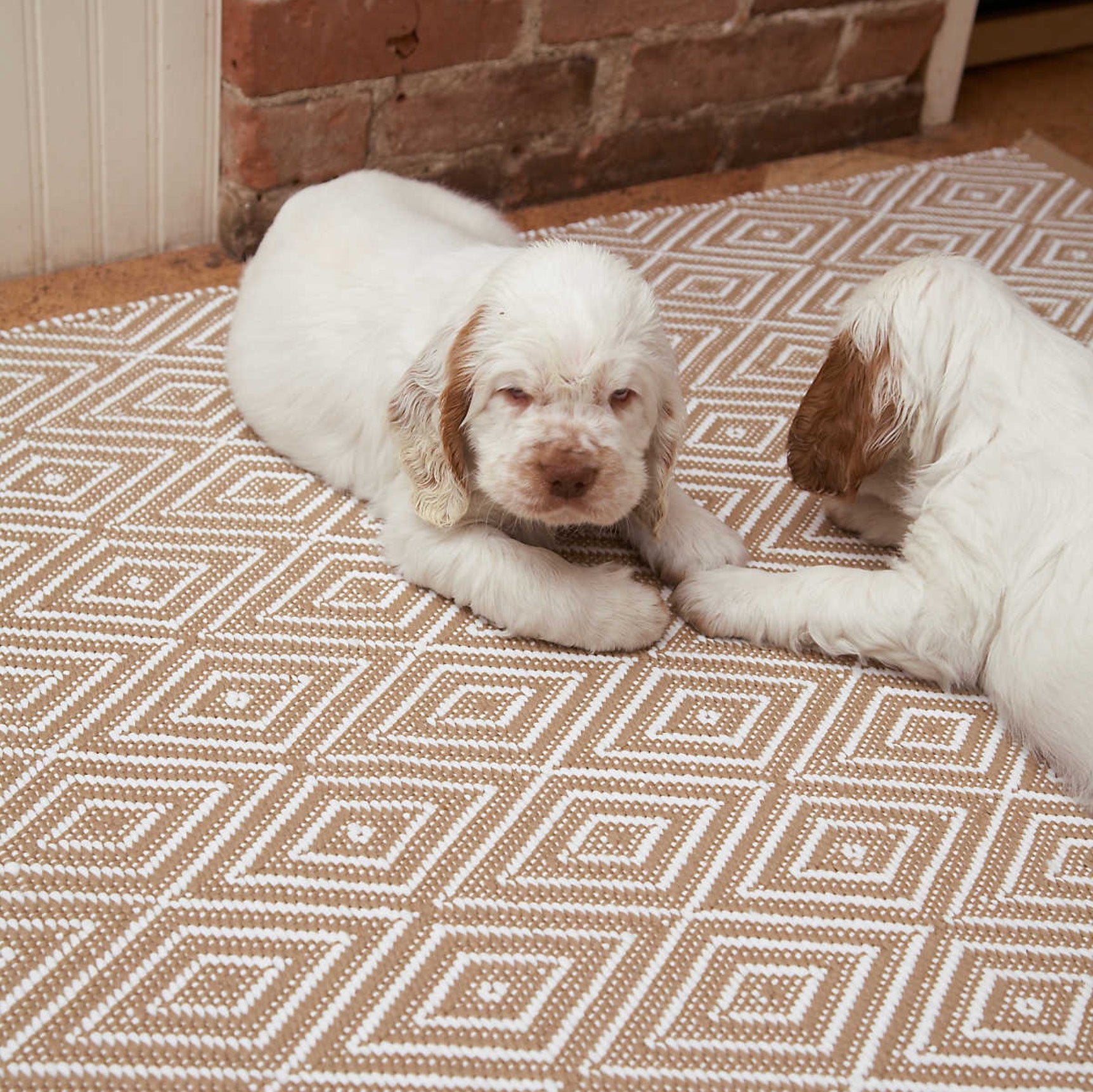 DA-Diamond-Khaki-white-