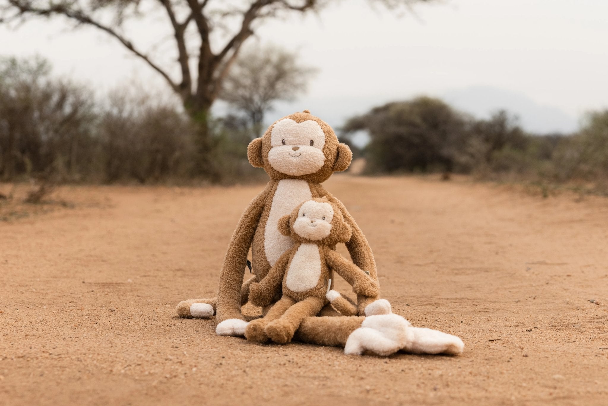 Kuschelaffe Baby mit liebevollen Stickereien mit grossem XXL Affen.