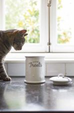 Riviera Maison Kitty Treats storage tin