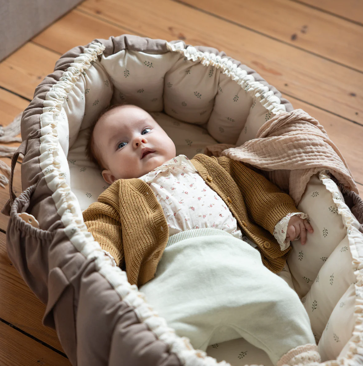 Sebra-3-in-1-Baby-Nest-Sophora-Leaves