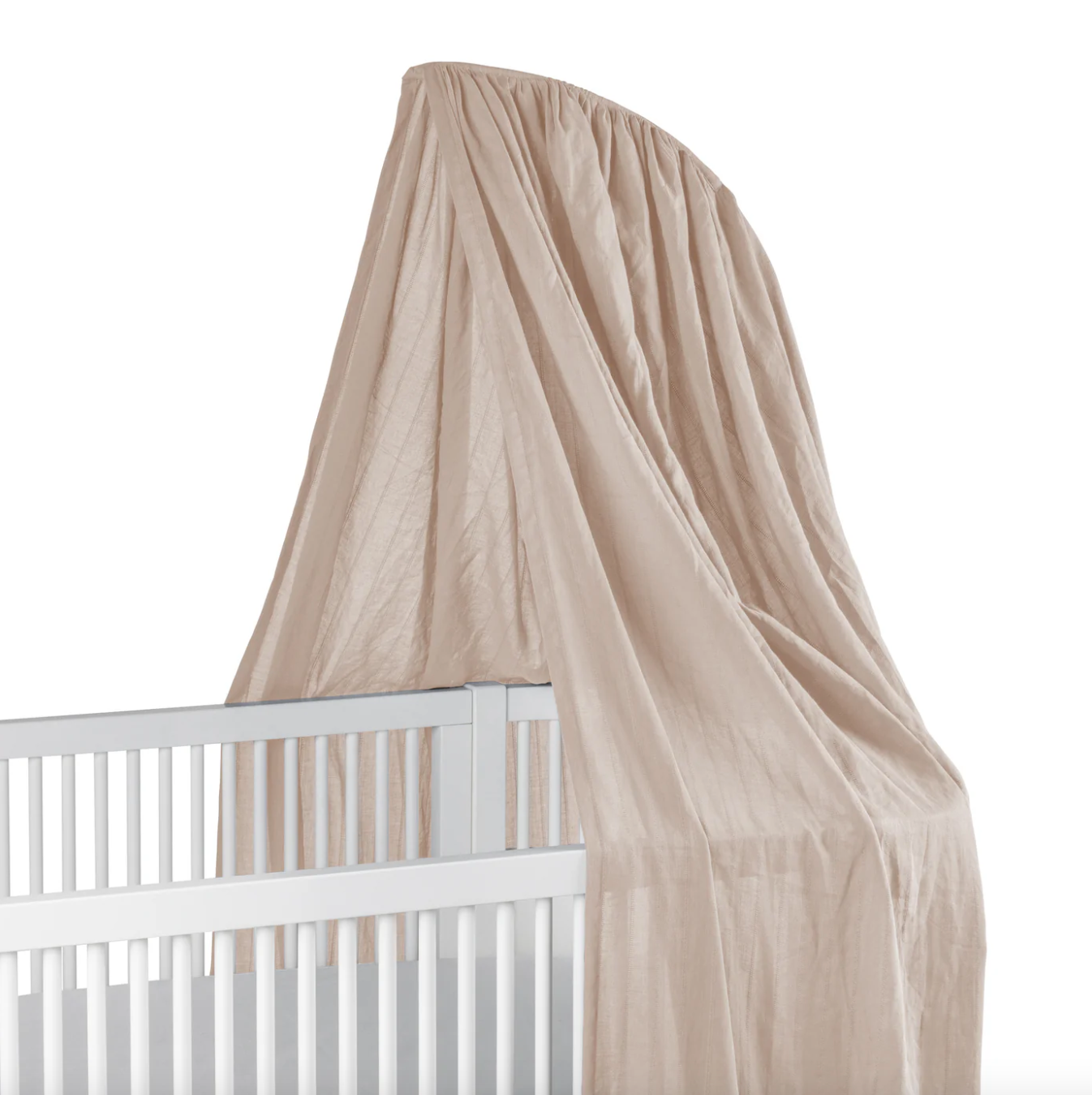 Sebra-Sky-Baldachin-Birchbark-rose-101530014