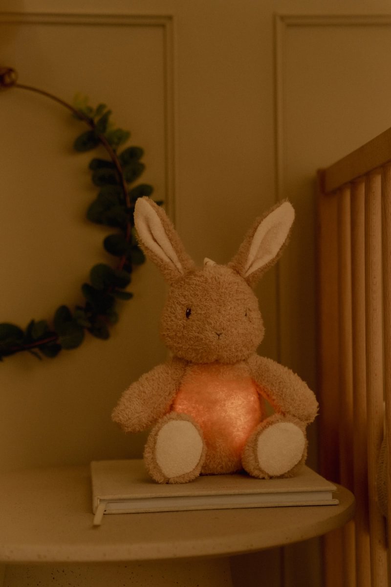 Little-Dutch-Nachtlicht-mit-Geräuschen-und-Licht-Baby-Bunny-Newborn-LD8441