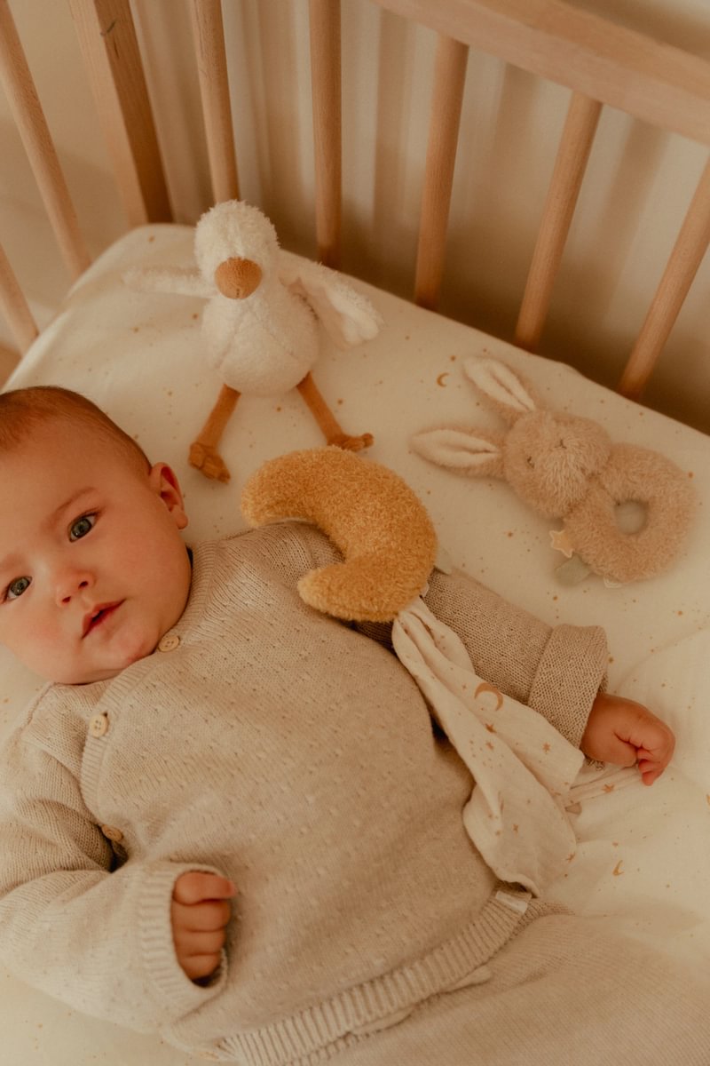 Little-Dutch-Geschenkset-Baby-Goose-LD8415