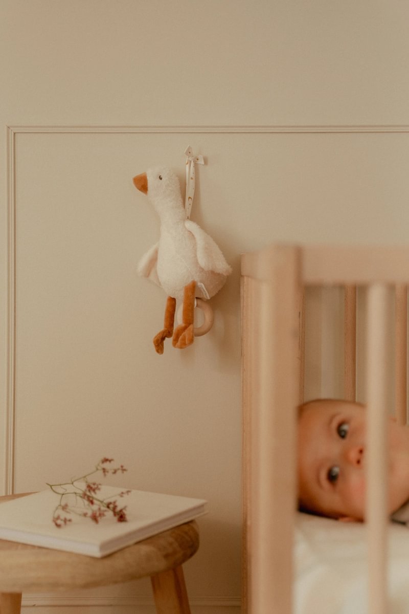 Little-Dutch-Musikspieluhr-Baby-Goose-LD8406