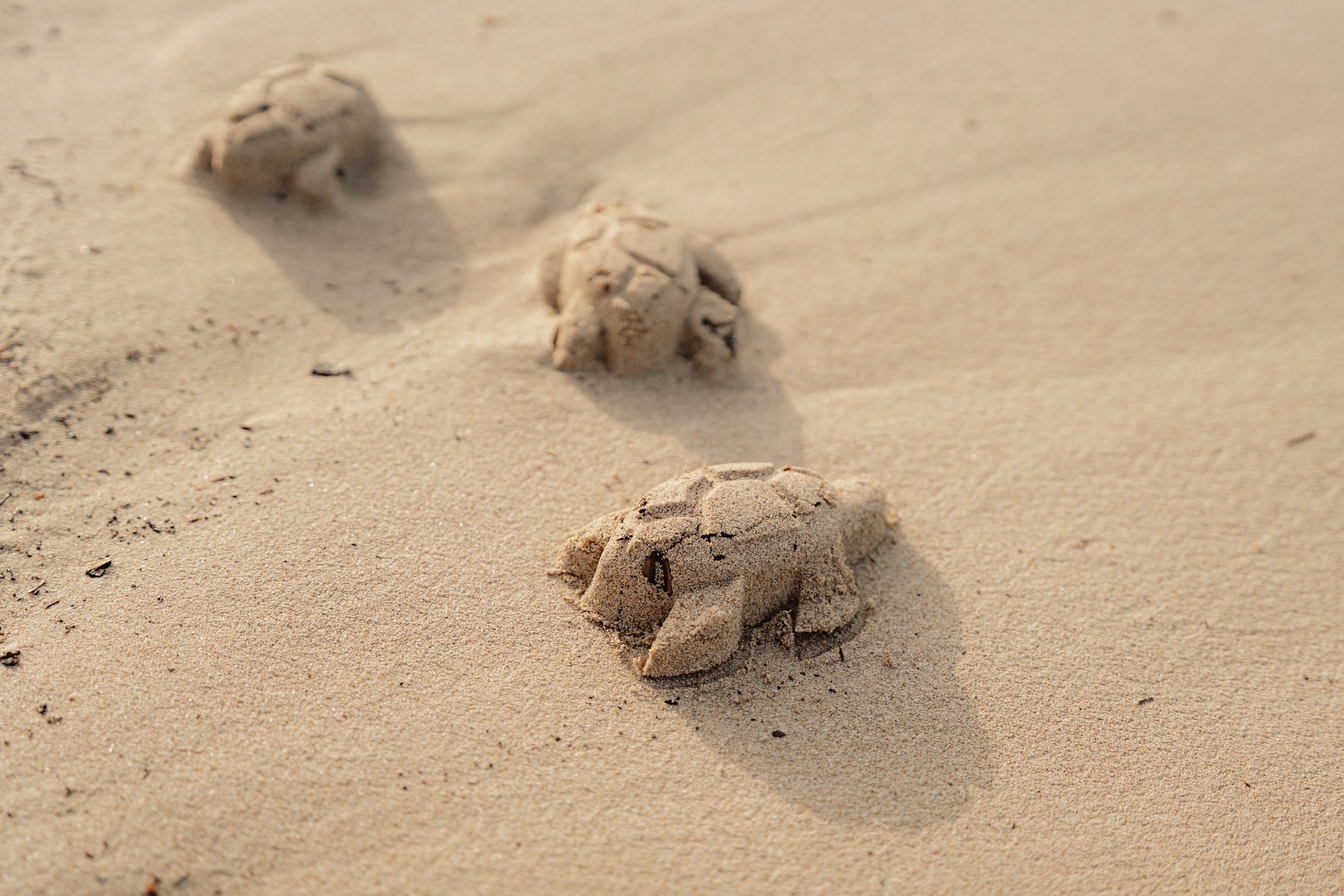 Little-Dutch-Sandkasten-Strandset-Beachset-3-teilig-Sailors-Bay-2010589