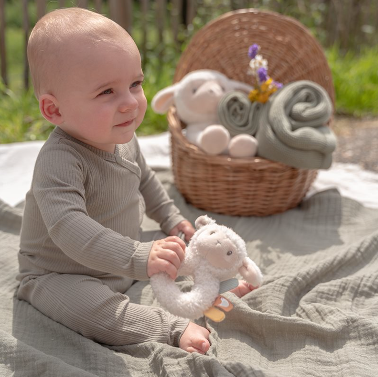 Little-Dutch-Ringrassel-Schaf-LD8831-