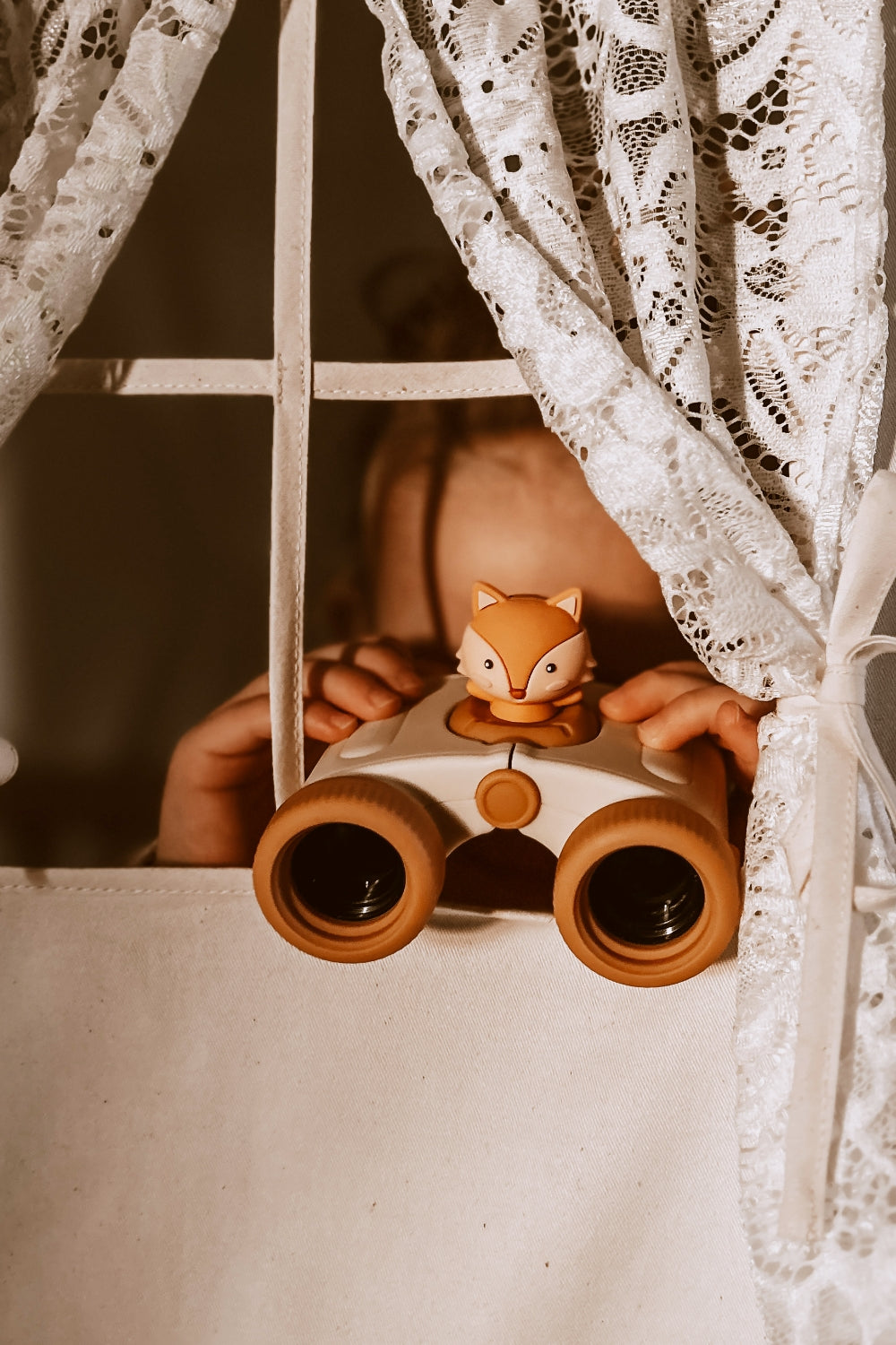 The_Zoofamily_Packshot_Fox_Zoo_Eyes