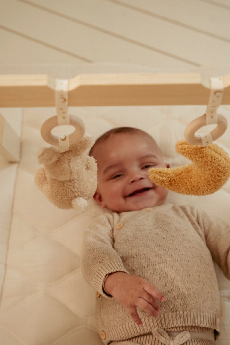 Little-Dutch-Spieltrapez-Baby-Goose-LD8410