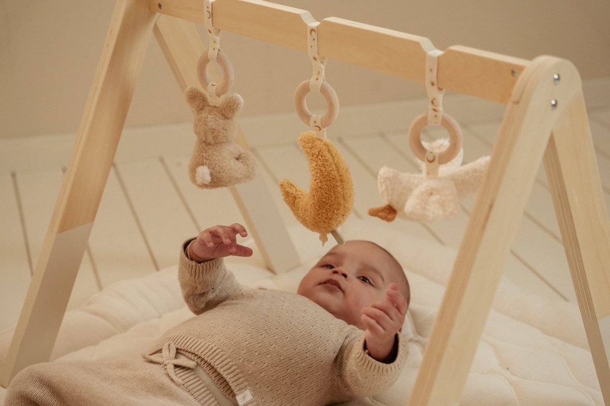 Little-Dutch-Spieltrapez-Baby-Goose-LD8410