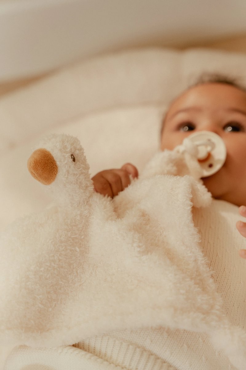 Little-Dutch-Schmusetuch-Kuscheltuch-Baby-Goose-Newborn-LD8427