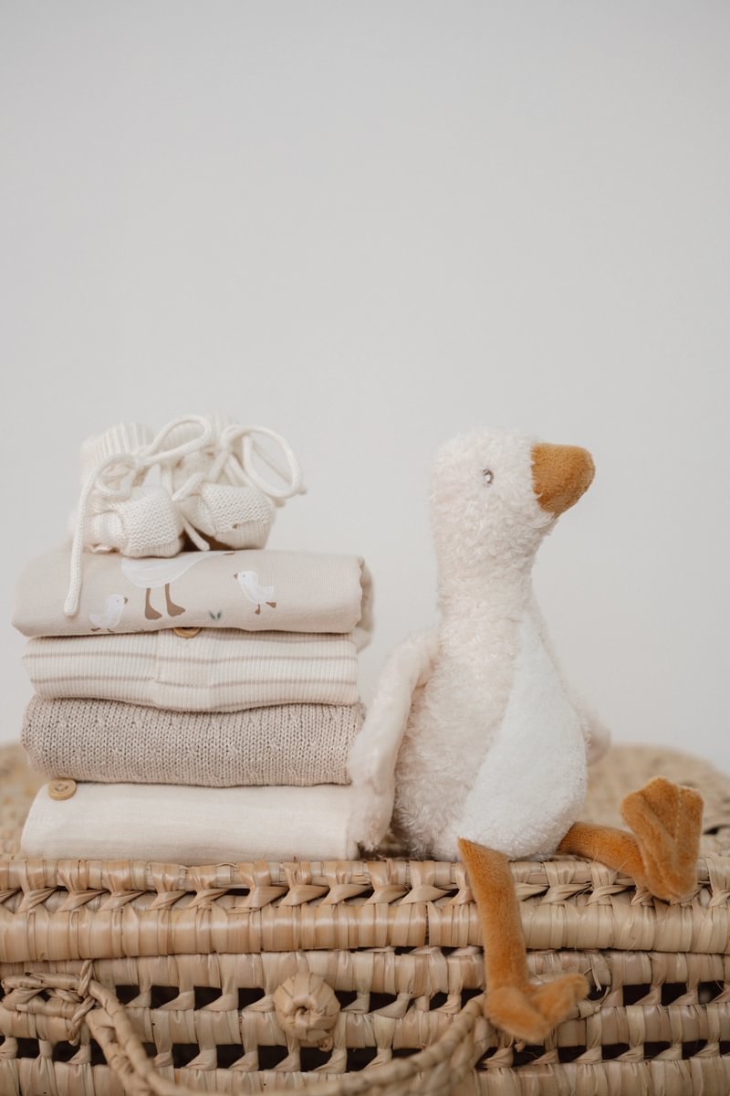 Little-Dutch-Baby-Goose-LD8404