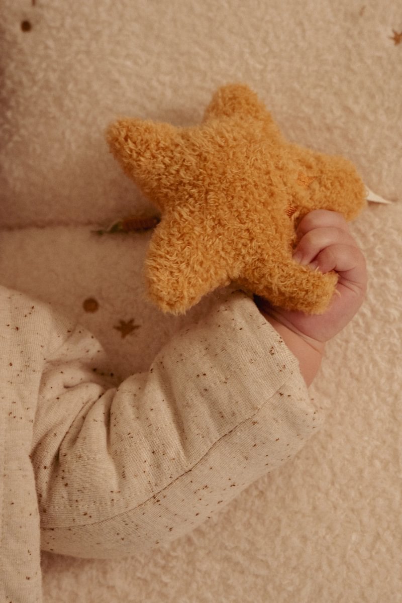 Little-Dutch-Laufgittereinlade-baby-goose-Newborn-GRS-LD8408