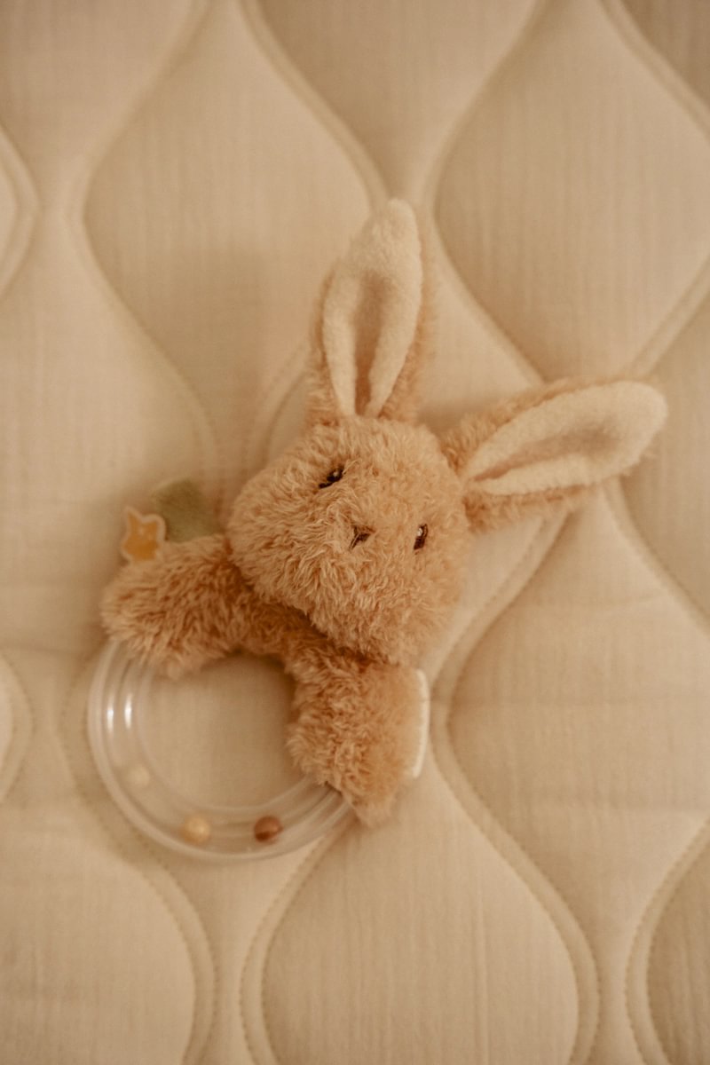 Little-Dutch-Baby-Bunny-Baby-Goose-LD8414