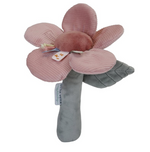 Little-Dutch-Babyrassel-Blume-Flowers-Butterflies